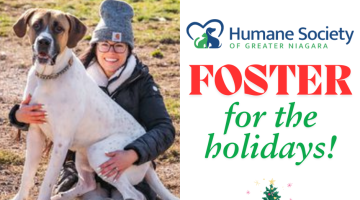 Foster Niagara Humane Society