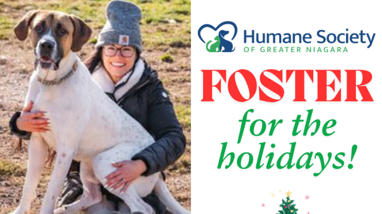 Foster Niagara Humane Society